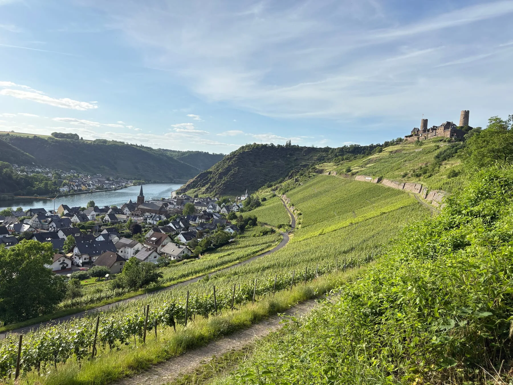 Vineyards above the Rhine with a castle on the far bank — Private Tour Chauffeur Frankfurt & Rhine Valley